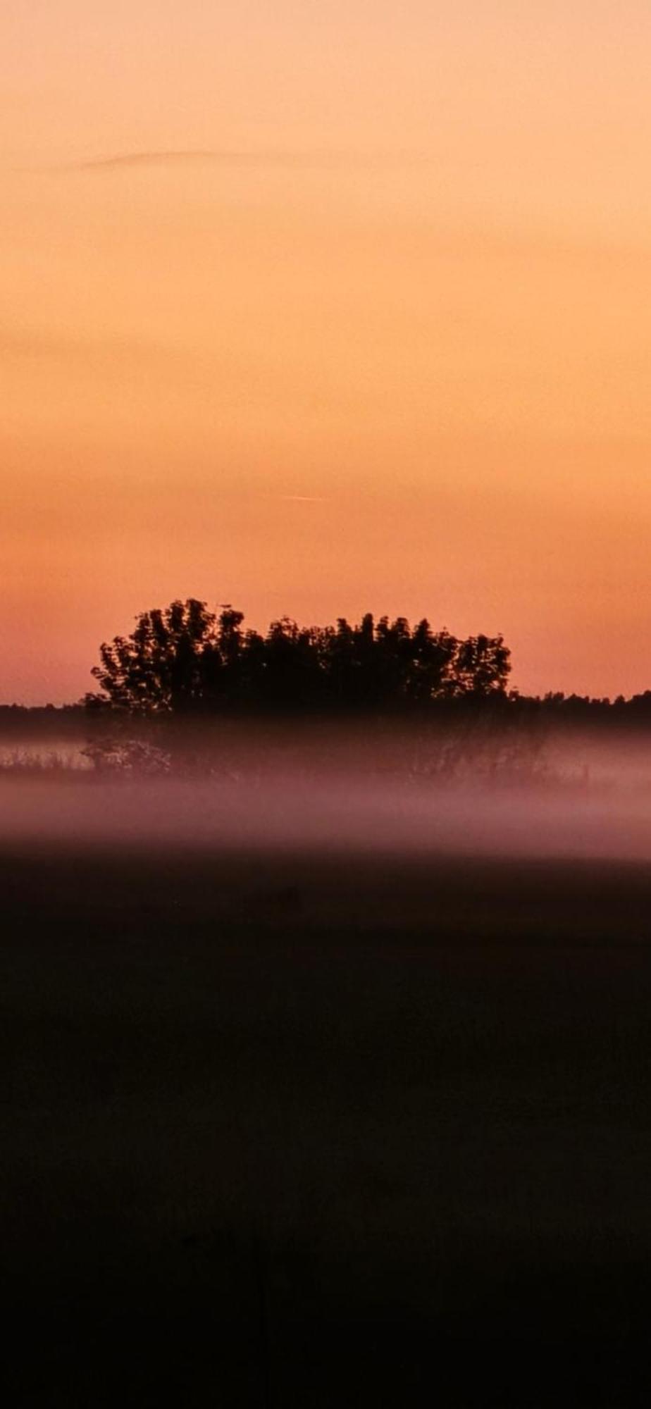 Waldpension Gussow Heidesee Zewnętrze zdjęcie
